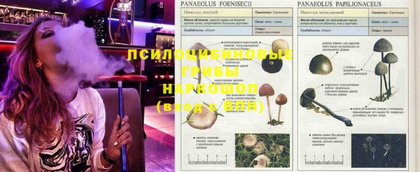 каннабис Заволжье