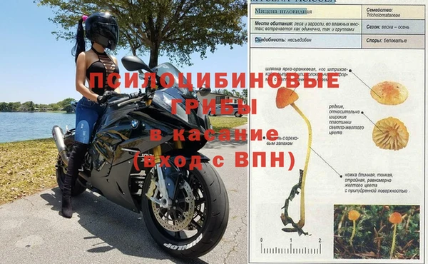 герыч Заводоуковск