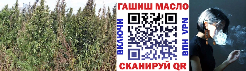 Купить где  Ахтырский  ТГК вейп 
